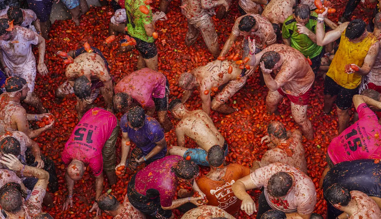Orang-orang yang bersuka ria saling melempar tomat dalam acara tahunan "Tomatina", pesta pertarungan tomat di desa Bunol dekat Valencia, Spanyol, Rabu (31/8/2022). Seperti namanya, ratusan ton tomat disediakan untuk senjata dalam acara perang tomat. (AP Photo/Alberto Saiz)