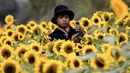 Seorang pria mengambil gambar di ladang bunga matahari di Wachirabenchathat Park, Bangkok pada 20 Januari 2022. Bunga matahari yang bermekaran pada November hingga Januari menjadi daya tarik wisatawan. (Jack TAYLOR / AFP)