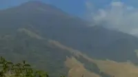 Sepekan berlalu, kebakaran hutan di puncak Gunung Ciremai, Kuningan, Jawa Barat belum juga padam.