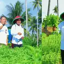 Kembangkan Usaha Pertanian hingga Bisa Kuliahkan Anak Berkat KUR BRI