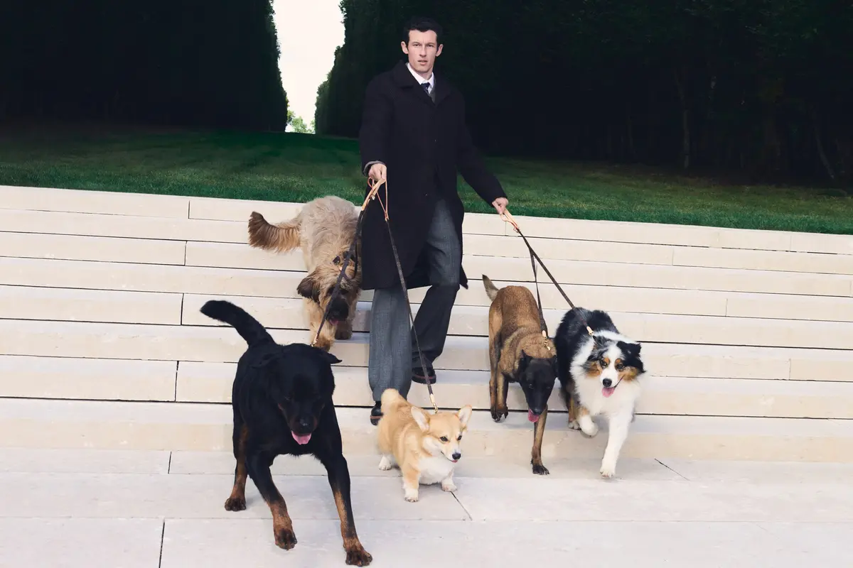 Bukan Main, Louis Vuitton Kini Rilis Tas, Mangkuk Makan, hingga Tali untuk Si Anjing Konglo