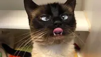foto: Reddit