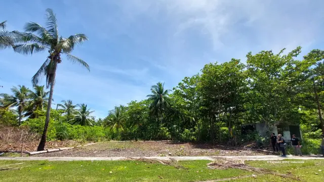 Pulau Derawan