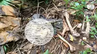 Geger Temuan Kerangka Manusia di Rembang