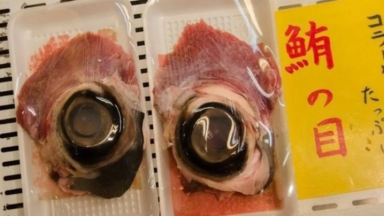 Makanan Aneh dari Jepang ini Bisa bikin Kita Pintar
