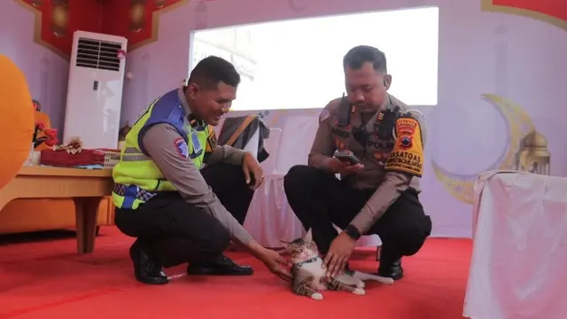Pemilik bertemu kembali dengan kucing kesayangan yang hilang di Rest Area di Pemalang. (Foto: Liputan6.com/Humas Polres Pemalang)