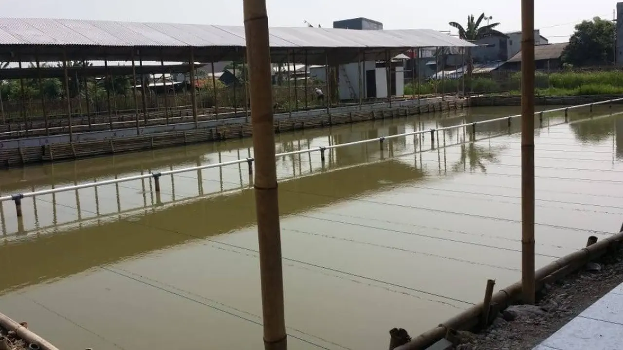 Spot Mancing Nyaman 2025 di Jakarta Utara