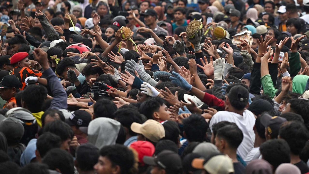 FOTO: Wow! Ribuan Durian Dibagikan Gratis saat Kenduri Durian