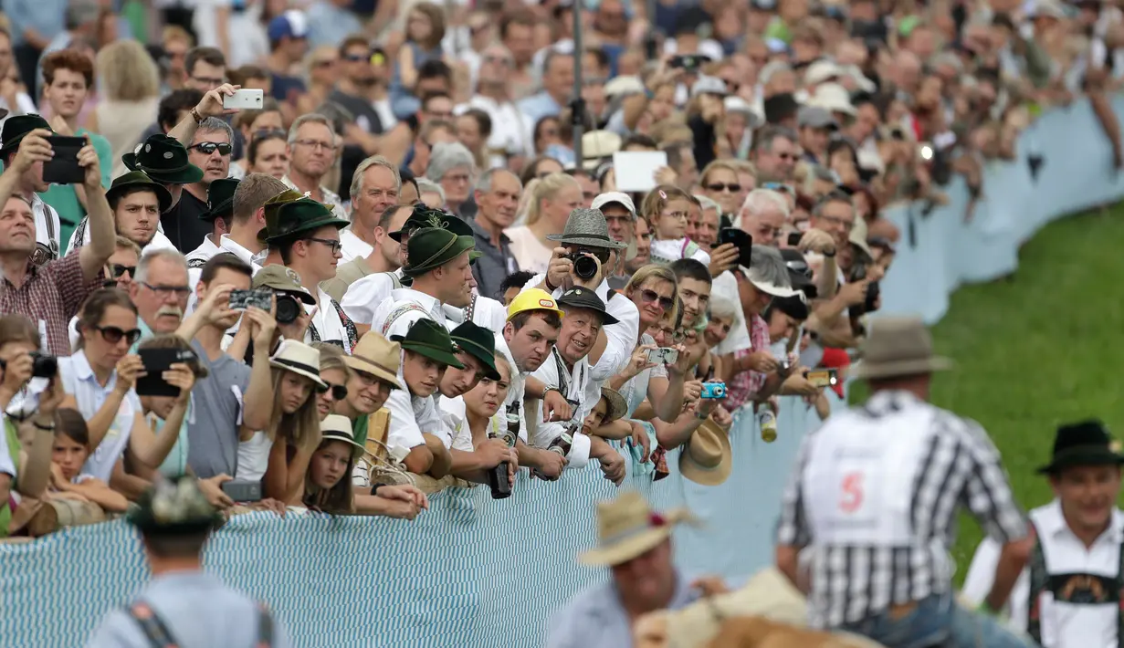 Ratusan penonton menyaksikan lomba balapan sapi tradisional yang diikuti oleh sejumlah petani balapan sapi tradisional di Desa Bavarian, dekat Danau Starnberg, Jerman, Minggu (28/8). (AP Photo/Matthias Schrader)