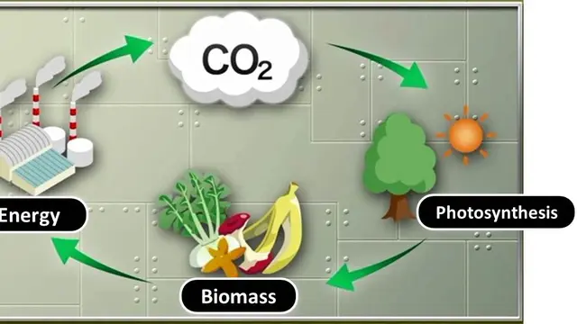 Ilustrasi Biomass Methane | tokyo-gas.co.jp