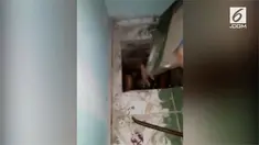 Kepolisian Brasil menemukan narapidana yang buron selama tiga tahun. Ia bersembunyi di dalam bunker yang sudah disiapkan di dalam kamarnya.