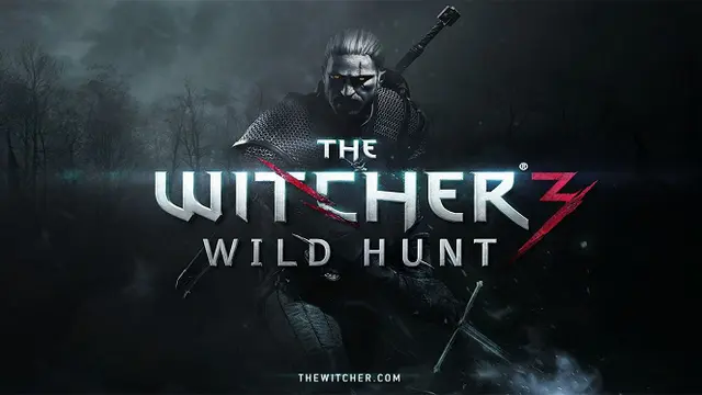 The witcher