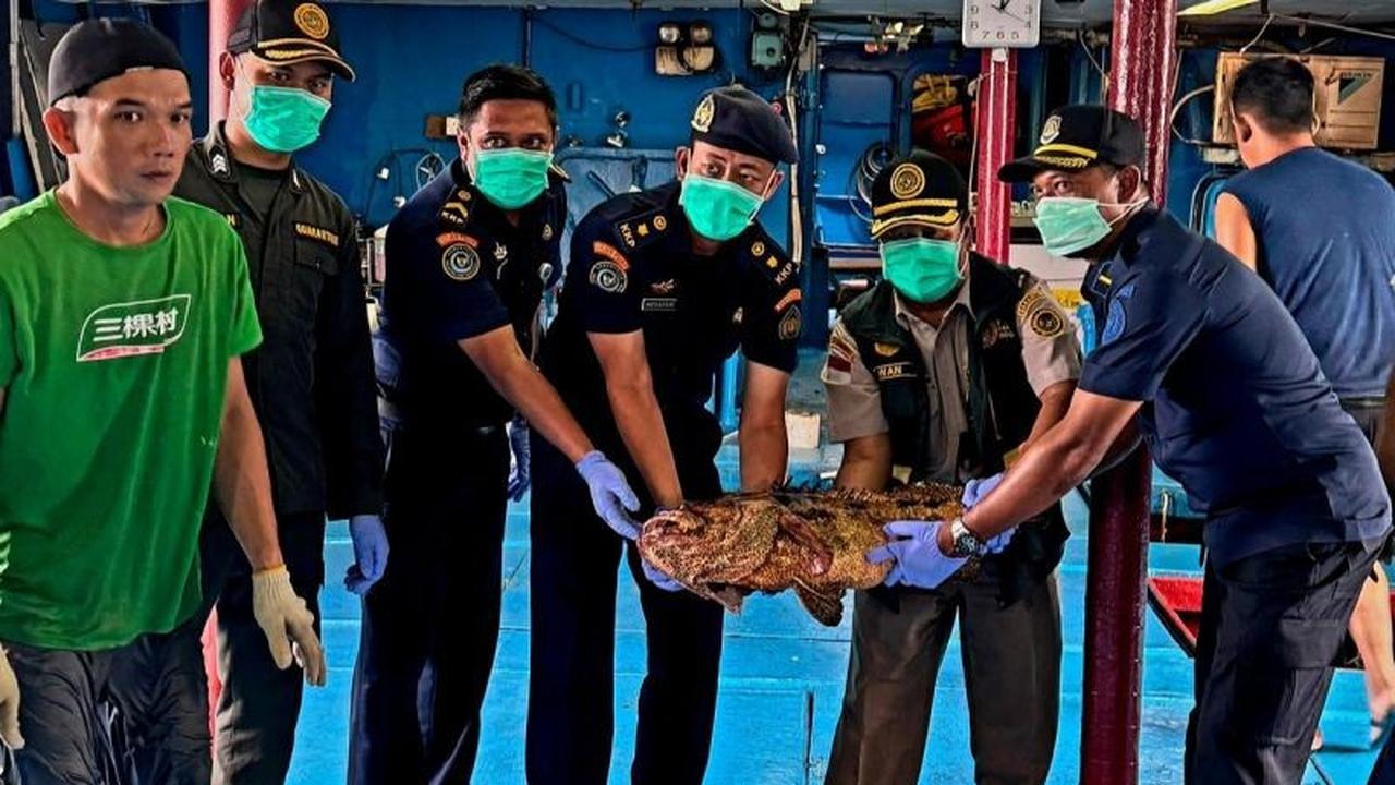 Ekspor Ikan Natuna Mampu Bersaing di Pasar Global, Buktikan Kualitas Unggul