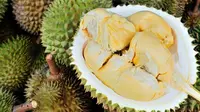 Singapura Nyatakan Buah Durian Haram, Setuju?