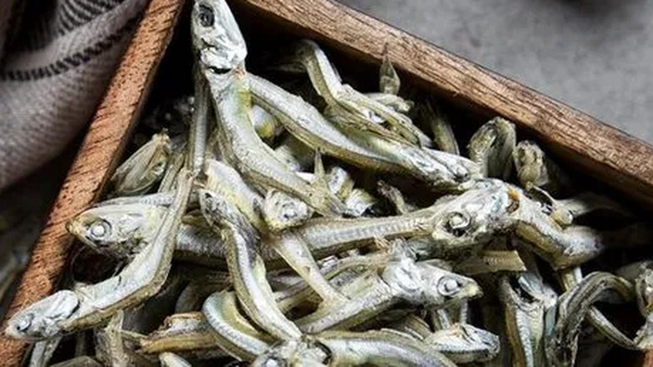 Kebutuhan tubuh akan protein bervariasi berdasarkan usia dan kondisi kesehatan.
