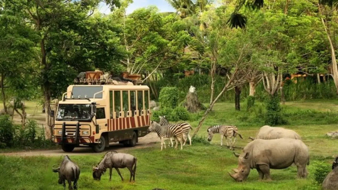Petualangan Lebih Intim Bersama Satwa Liar dalam Lingkungan Alaminya di Taman Safari Bali