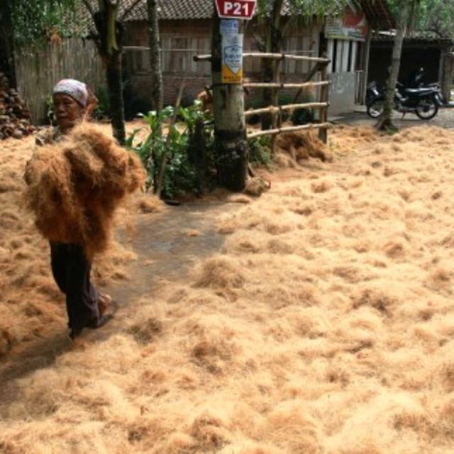 Luar Biasa Doktor Ui Temukan Bahan Semen Dari Sabut Kelapa Citizen6 Liputan6 Com