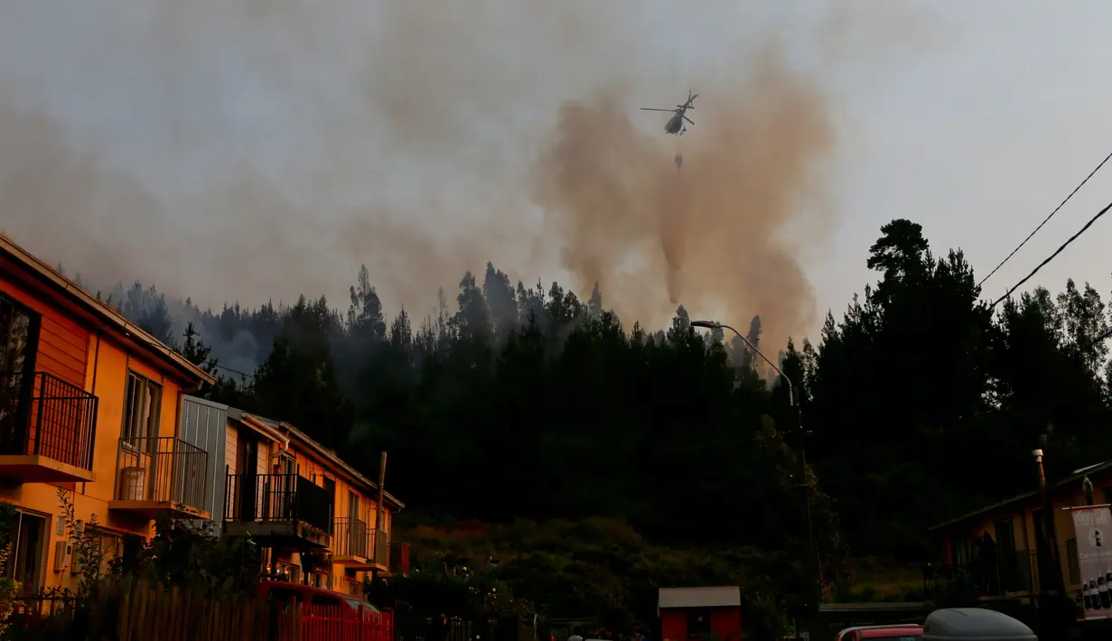 Api membakar hutan di dekat pemukiman di Dichato Chili, Senin (30/1). Diperkirakan api telah melalap sekitar 680.000 are lahan. (AP Photo / Esteban Felix)