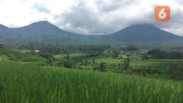 Desa Wisata Jatiluwih
