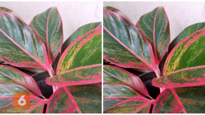 Hasil foto Oppo A92 tanpa dazzled color (kiri) dan dengan dazzled color (kanan) (Liputan6.com/ Agustin Setyo W)
