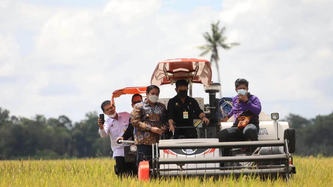 Menteri Pertanian Syahrul Yasin Limpo (Mentan SYL)