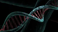 Ilustrasi Komputer Cair Terbuat dari DNA (Sumber: Pixabay)
