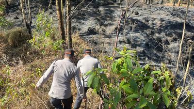 2 Hektare Hutan Gunung Batur Terbakar, Sudah 2 Kali dalam Sebulan 