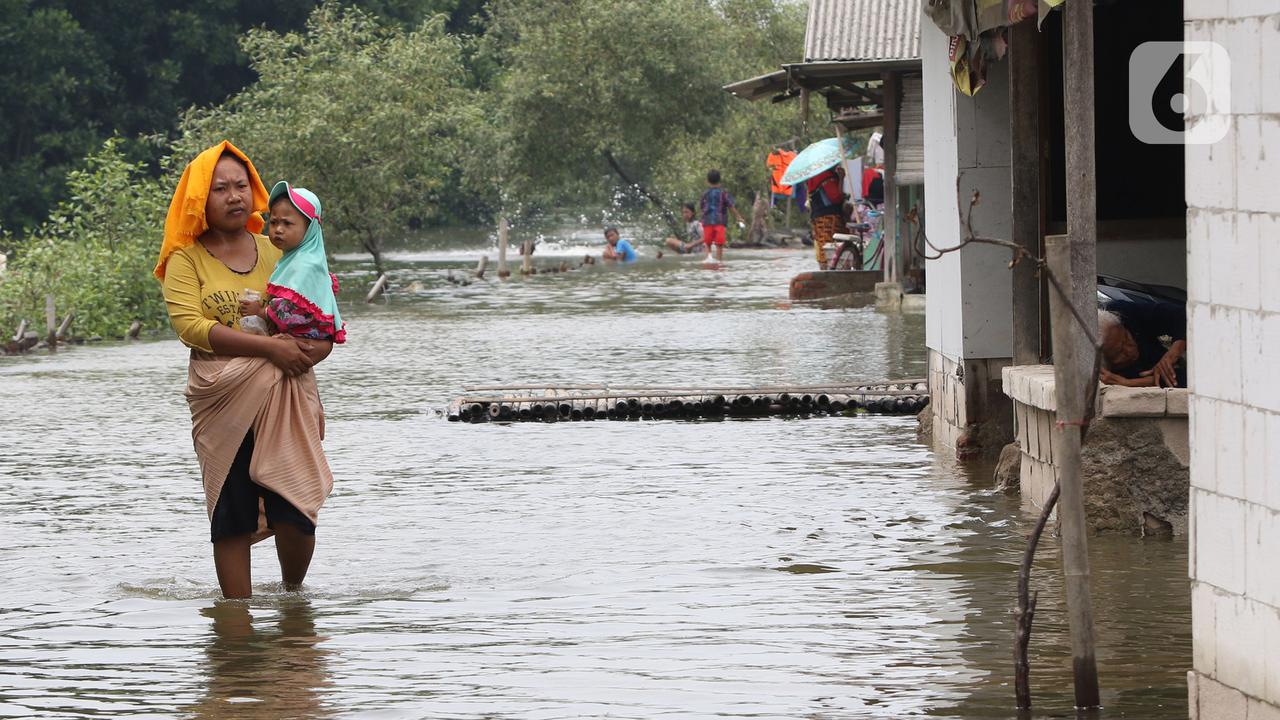 Banjir Rob Masih Genangi Permukiman Warga Muara Gembong
