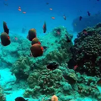 Pulau Rubiah, Saksi Bisu Pusat Karantina Haji Pertama di Indonesia