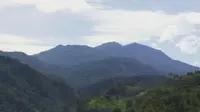 Pemandangan Gunung Kulabu. (Dok:&nbsp;https://www.instagram.com/p/CGl-SF8rBwa/?igsh=dW43M3B1c24weW44)