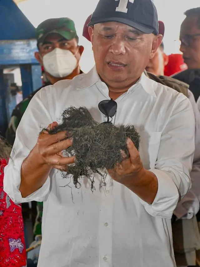 Menteri Koperasi dan UKM Teten Masduki mengingatkan peran penting koperasi dalam ekosistem budidaya rumput laut.