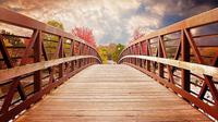 Ilustrasi Jembatan (Gambar oleh esudroff dari Pixabay)
