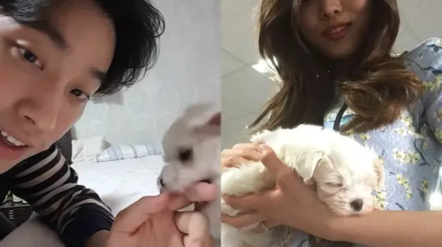 Nama Yoon So Hee Ikut Terseret, Video Lama Keluarga Park Wi Picu Kontroversi soal Song Ji Eun