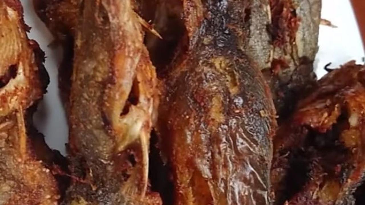 Lele Tidak Melengkung dan Tetap Gurih
