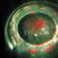 Aurora di kutub selatan Yupiter yang diambil oleh Juno (NASA/JPL-Caltech/SWRI)