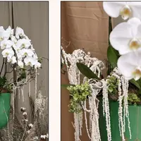 Rangkaian bunga yang bisa dipersonalisasi sesuai kebutuhan. (Foto: Rosy Posy)