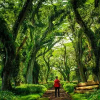 Jawatan Benculuk, Banyuwangi, Jawa Timur. (prayogi.suyud/Instagram)