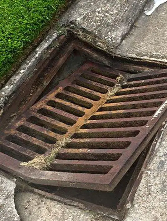 Lubang air tempat buaya keluar dan masuk ke pemukiman warga di La Place, Lousiana, AS, Sabtu (5/9/2015). Kehadiran buaya tersebut membuat panik warga sekitar dan tidak diketahui maksud kedatangannya. (Dailymail)