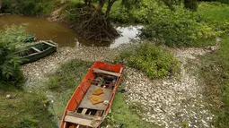 Sejumlah perahu terlihat di dekat ribuan ikan mati yang menutupi permukaan sungai Confuso di Kota Villa Hayes, Paraguay, 14 Oktober 2017. Otoritas setempat belum mengetahui pasti penyebab matinya ikan-ikan itu. (AP Photo/Jorge Saenz)