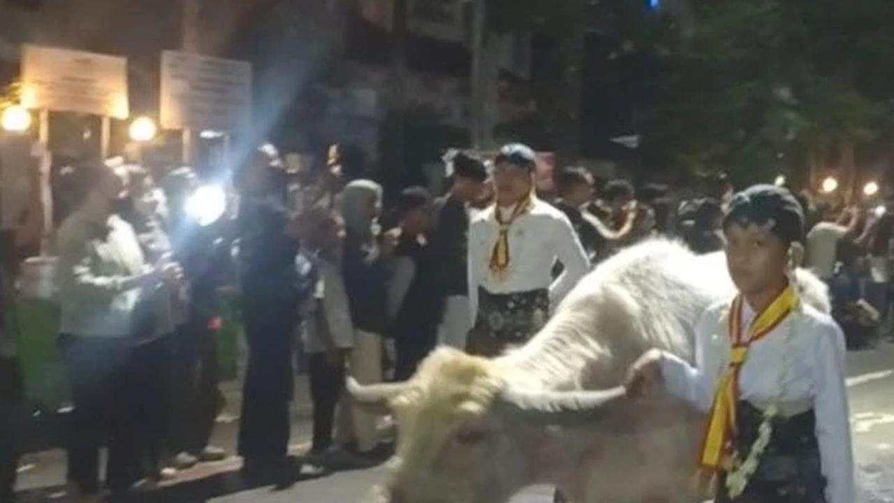 Tiga Kerbau Bule Pimpin Kirab 1 Suro Keraton Surakarta