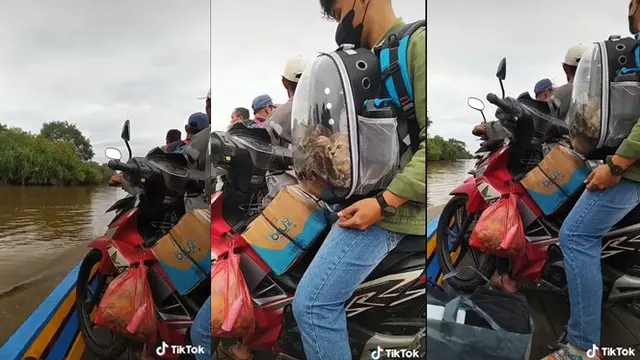Pria Ini Mudik Bawa 3 Kucing Naik Perahu Sebrangi Sungai, Satu Ekor Mabuk
