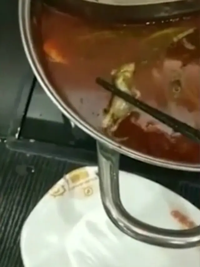 Wanita Hamil Temukan Tikus pada Makanan, Restoran Malah Berikan Uang Untuk Aborsi