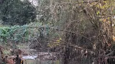 Diduga Cemari Sungai Cibojong, 3 Pabrik Batu Hijau di Sukabumi Dibekukan