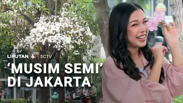 'Musim Semi' di Jakarta
