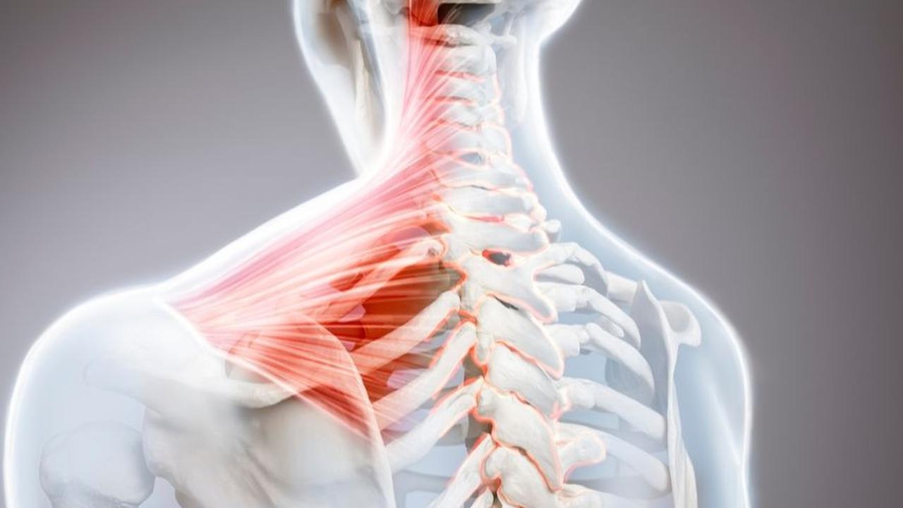 Mengenal Cervical Disc Replacement (CDR)