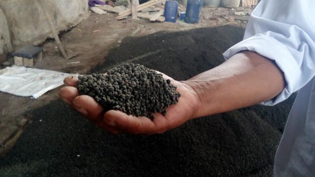 Sadarkan Petani Garut dengan Kampanye Pupuk Organik