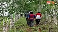 liputan6