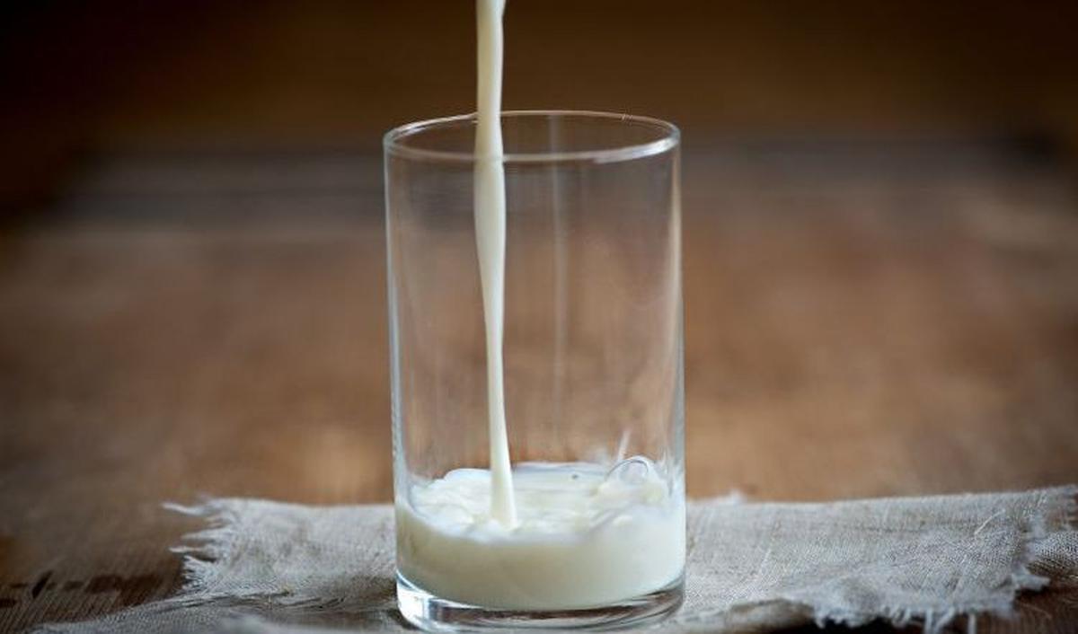 <b>Manfaat Susu Pasteurisasi</b><br>