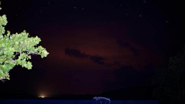 Bahía Bioluminiscente