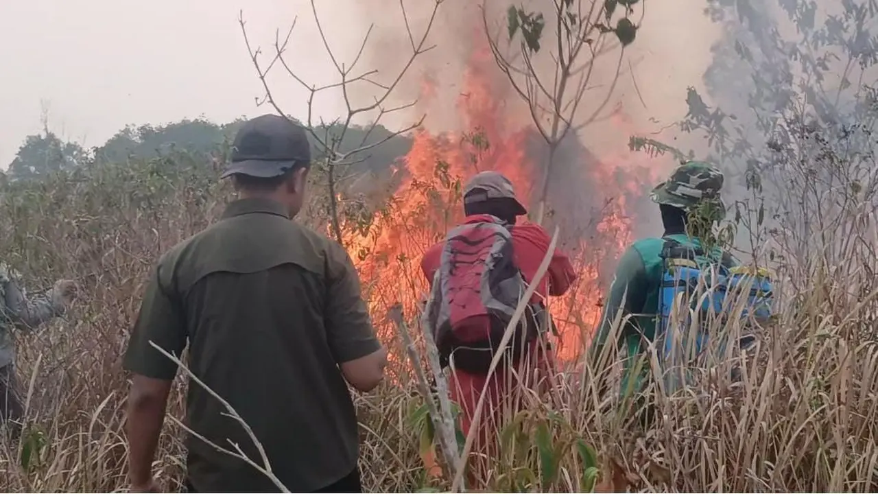 Kebakaran hutan dan lahan (karhutla) di Taman Nasional Way Kambas, Lampung Timur.